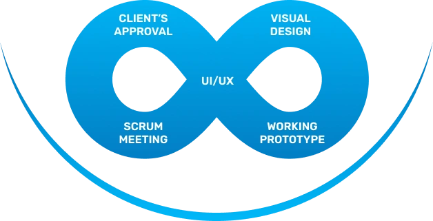 IT software development process